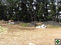 thn_NZ leden-unor 2006 136.jpg